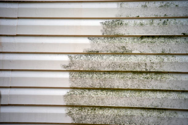 Best Storm Damage Siding Repair  in Bloomington, TX