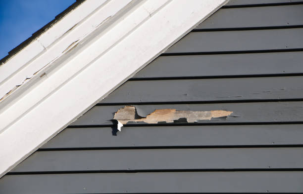 Best Siding Removal and Disposal  in Bloomington, TX